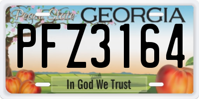 GA license plate PFZ3164