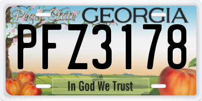 GA license plate PFZ3178