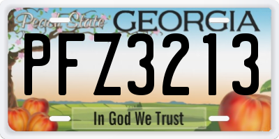 GA license plate PFZ3213