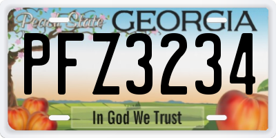 GA license plate PFZ3234