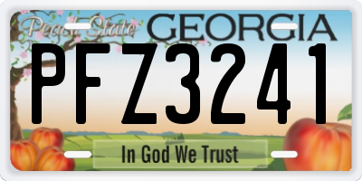 GA license plate PFZ3241