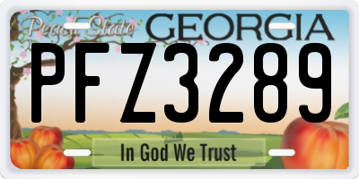 GA license plate PFZ3289