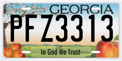 GA license plate PFZ3313