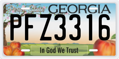 GA license plate PFZ3316