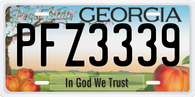 GA license plate PFZ3339