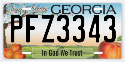 GA license plate PFZ3343