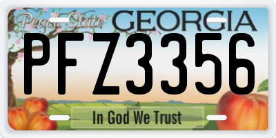 GA license plate PFZ3356