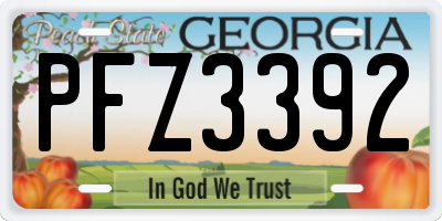 GA license plate PFZ3392