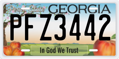 GA license plate PFZ3442