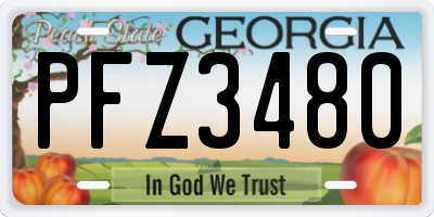 GA license plate PFZ3480