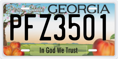 GA license plate PFZ3501