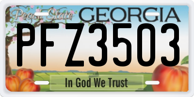 GA license plate PFZ3503