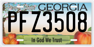 GA license plate PFZ3508