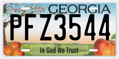 GA license plate PFZ3544
