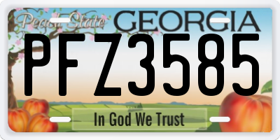 GA license plate PFZ3585