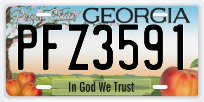 GA license plate PFZ3591