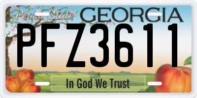 GA license plate PFZ3611