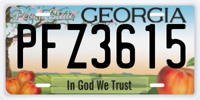 GA license plate PFZ3615