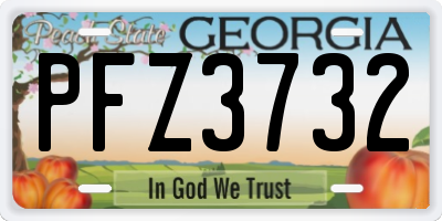 GA license plate PFZ3732