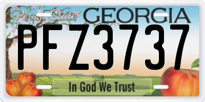 GA license plate PFZ3737