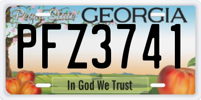 GA license plate PFZ3741