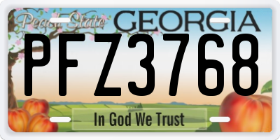 GA license plate PFZ3768