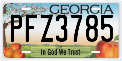 GA license plate PFZ3785
