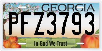 GA license plate PFZ3793