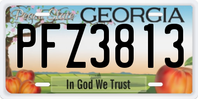 GA license plate PFZ3813