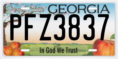 GA license plate PFZ3837