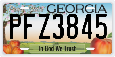 GA license plate PFZ3845