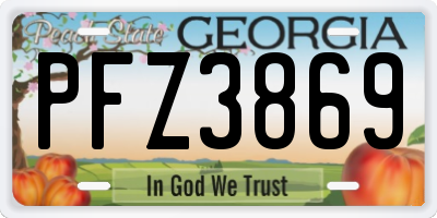 GA license plate PFZ3869