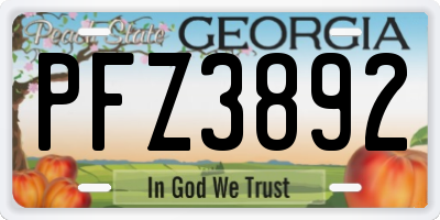GA license plate PFZ3892