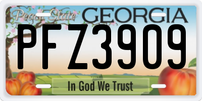 GA license plate PFZ3909