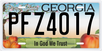 GA license plate PFZ4017