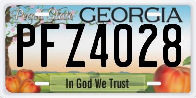 GA license plate PFZ4028