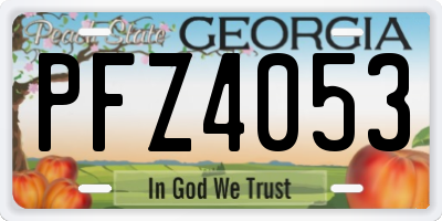 GA license plate PFZ4053