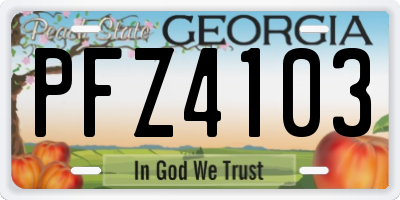 GA license plate PFZ4103