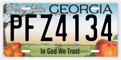 GA license plate PFZ4134