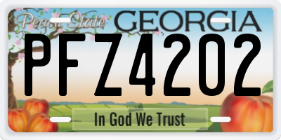 GA license plate PFZ4202