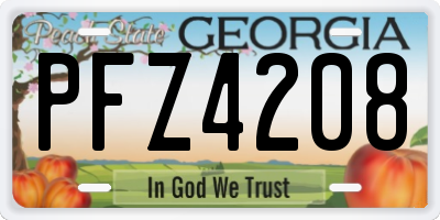 GA license plate PFZ4208