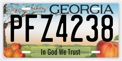 GA license plate PFZ4238