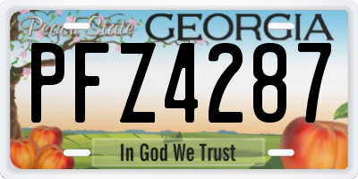 GA license plate PFZ4287