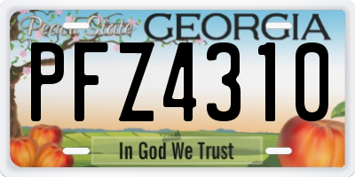 GA license plate PFZ4310