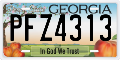 GA license plate PFZ4313