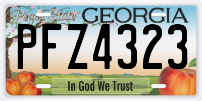 GA license plate PFZ4323