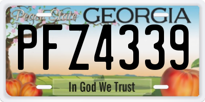 GA license plate PFZ4339