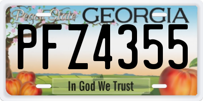 GA license plate PFZ4355