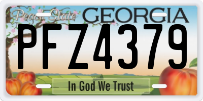 GA license plate PFZ4379