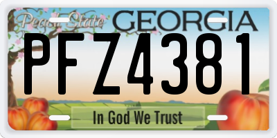 GA license plate PFZ4381